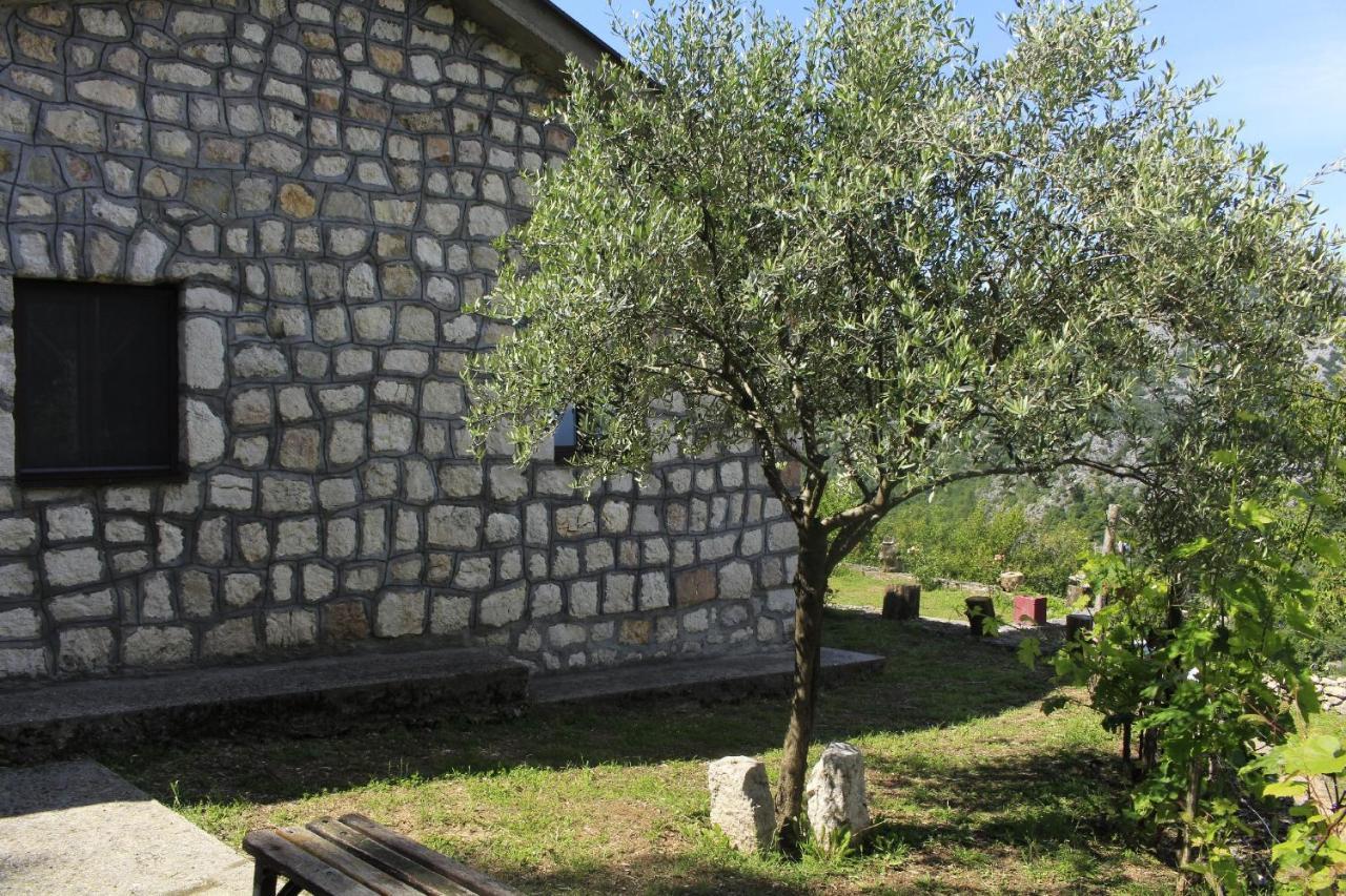Rent House Orahovo Villa Virpazar Luaran gambar
